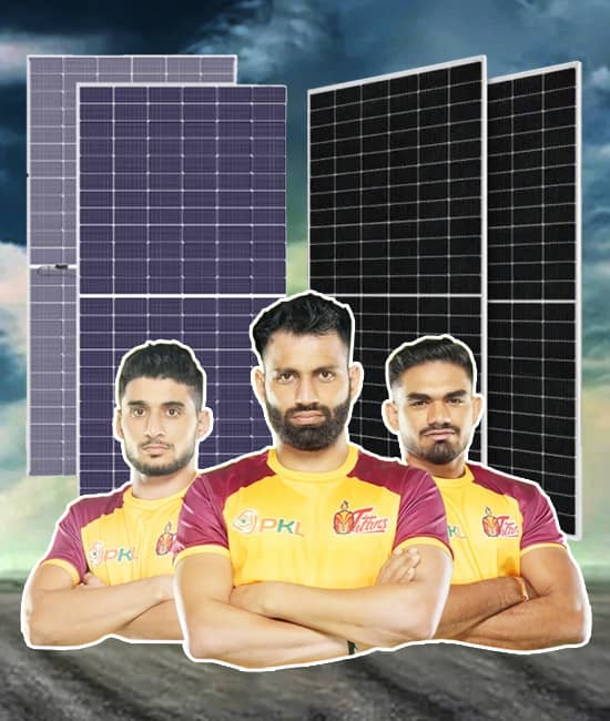Renewable Energy Partner